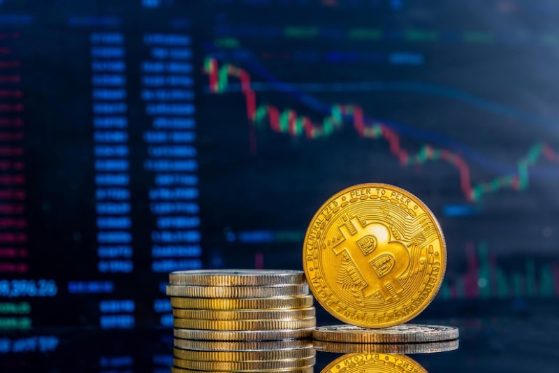 Bitcoin's Role