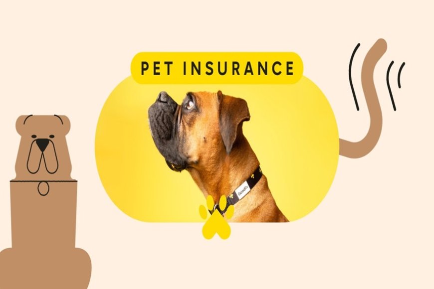Pet Insurance Plans in India