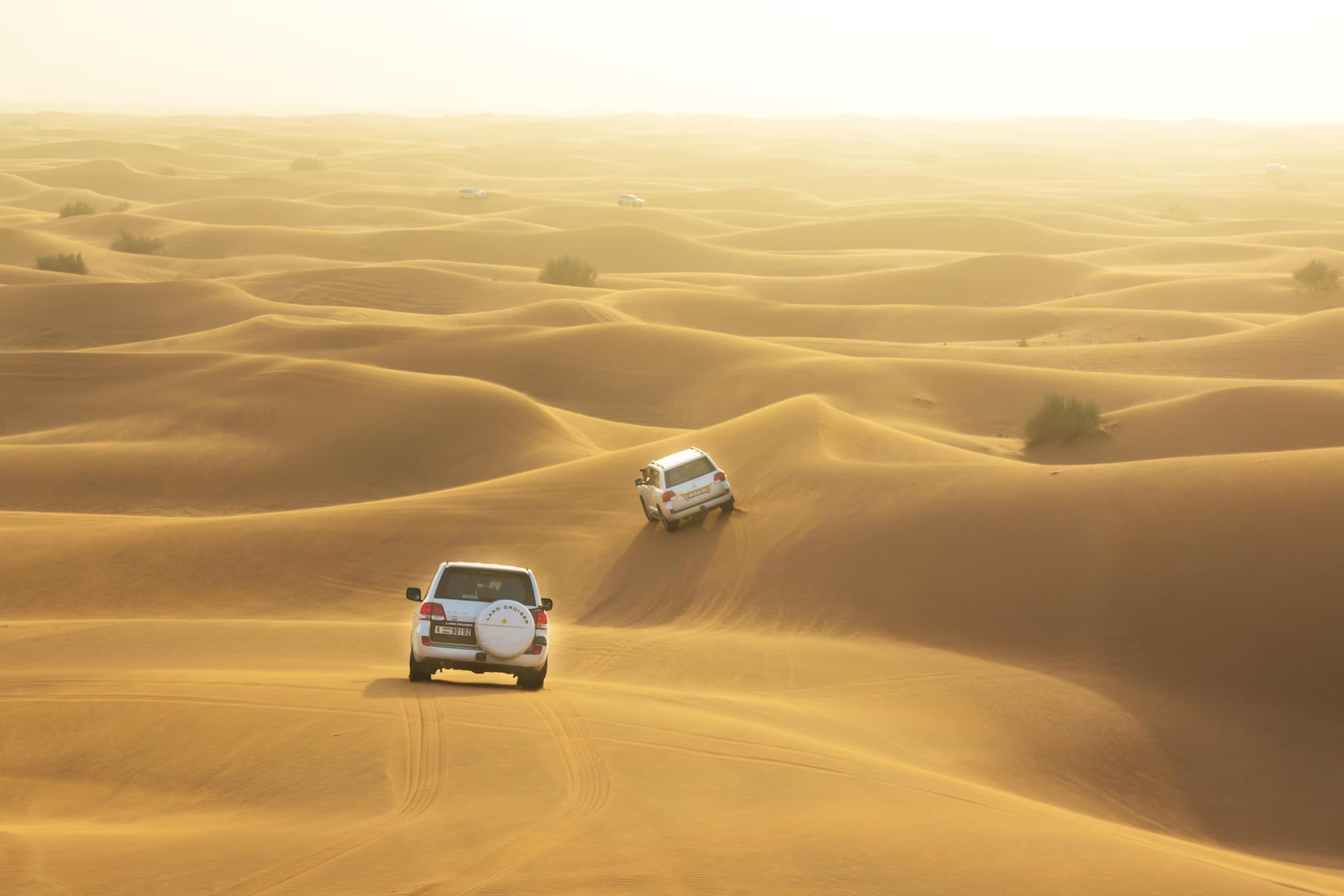 Dune Buggy Desert Safari in Dubai: Costs, Tips, and Top Operators