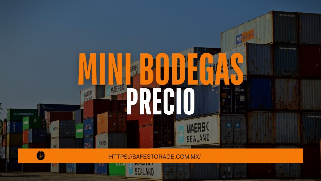 mini bodegas precio
